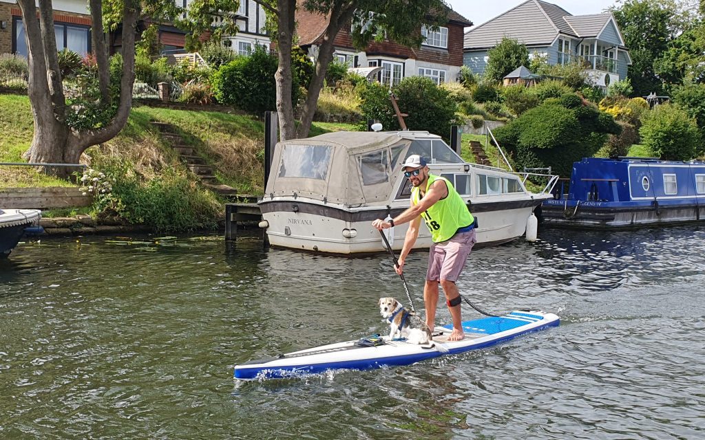 Paddler with dog on board